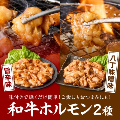 <工場直送>和牛ホルモン2種食べ比べセット [210Y14]