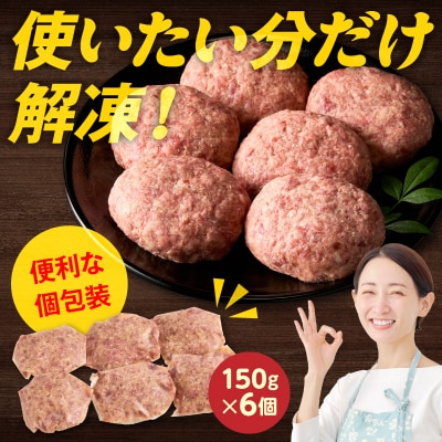<工場直送> 牛タン・和牛入り 合いびき生ハンバーグ [210Y15]