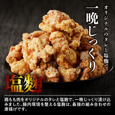 【お試しサイズ】レンジで簡単 金匠・鶏唐揚げ 塩麹 500g からあげ もも肉[003D33]