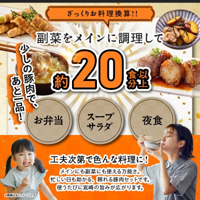 宮崎県産豚肉6種盛り合わせセット(合計4.1kg) 肉 豚 豚肉 おかず 国産_T030-204