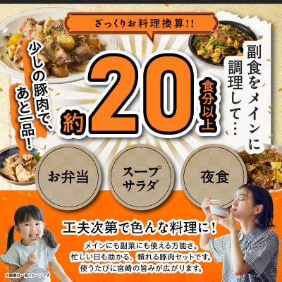 宮崎県産豚肉6種盛り合わせセット(合計4.1kg) 肉 豚 豚肉 おかず 国産_T030-204