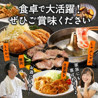 宮崎県産豚肉6種盛り合わせセット(合計4.1kg) 肉 豚 豚肉 おかず 国産_T030-204