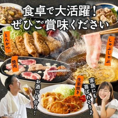 宮崎県産豚肉6種盛り合わせセット(合計4.1kg) 肉 豚 豚肉 おかず 国産_T030-204