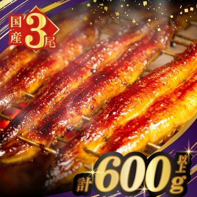 うなぎ蒲焼特大3尾(さんしょう・たれ付き)計600g以上 鰻 魚 魚介 加工品_T026-0021