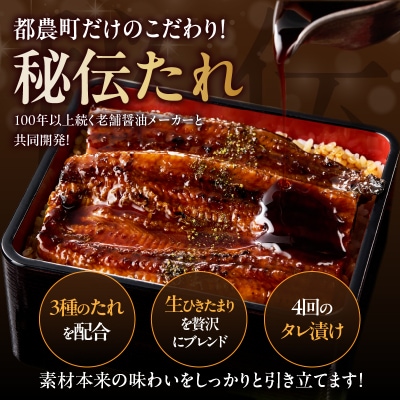 うなぎ蒲焼3尾(さんしょう・たれ付き)計450g以上 鰻 魚 魚介 加工品 国産_T026-014