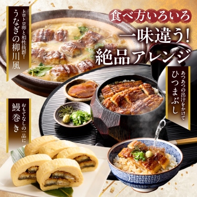 うなぎ蒲焼特大3尾(さんしょう・たれ付き)計600g以上 鰻 魚 魚介 加工品_T026-0021