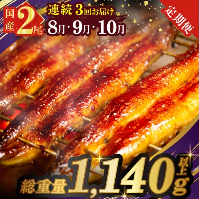 ≪定期便3回≫8月・9月・10月お届け!うなぎ蒲焼2尾(総重量1.14kg以上)_T026-0072
