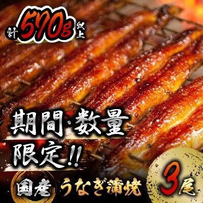 《期間・数量限定》うなぎ蒲焼3尾(計570g以上)国産鰻(ウナギ・さんしょう・たれセット)