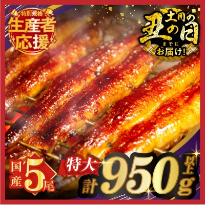 生産者応援!!うなぎ蒲焼5尾(さんしょう・たれ付き)計950g以上_T026-0031-ZO-US