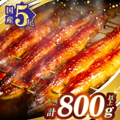うなぎ蒲焼5尾(さんしょう・たれ付き)計800g以上 鰻 魚 魚介 加工品 国産_T026-0031
