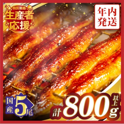 【年内発送】【数量・期間限定 特別規格】うなぎ蒲焼5尾 計800g以上 _T026-0032-12