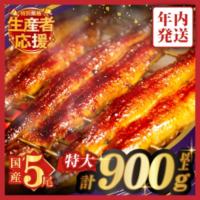 年内発送【数量・期間限定 特別規格】うなぎ蒲焼5尾 計900g以上 _T026-0032-ZO-12