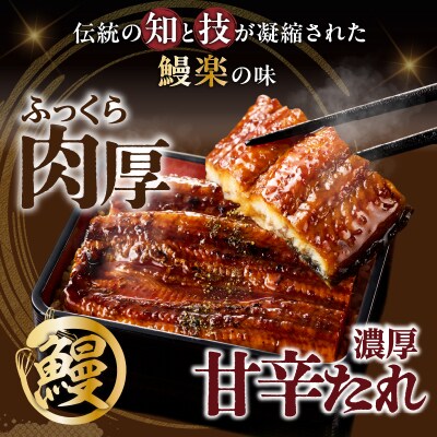 うなぎ蒲焼5尾(さんしょう・たれ付き)計800g以上 鰻 魚 魚介 加工品 国産_T026-0031