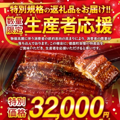 【年内発送】【数量・期間限定 特別規格】うなぎ蒲焼5尾 計800g以上 _T026-0032-12