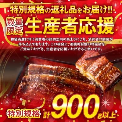 【数量・期間限定 特別規格】うなぎ蒲焼5尾(計900g以上)_T026-0032-ZO