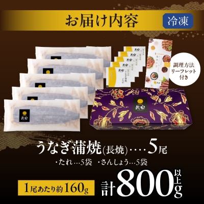 うなぎ蒲焼5尾(さんしょう・たれ付き)計800g以上 鰻 魚 魚介 加工品 国産_T026-0031