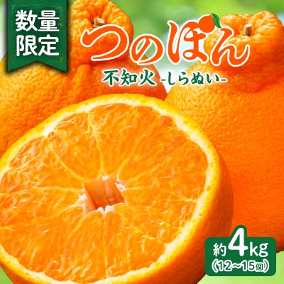 先行受付«数量限定»不知火(つのぽん)約4kg フルーツ 果物 柑橘 みかん 国産_T002-001