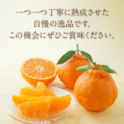 先行受付«数量限定»不知火(つのぽん)約4kg フルーツ 果物 柑橘 みかん 国産_T002-001