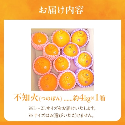 先行受付«数量限定»不知火(つのぽん)約4kg フルーツ 果物 柑橘 みかん 国産_T002-001