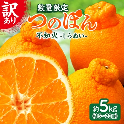 先行受付★訳あり≪数量限定≫不知火(つのぽん)約5kg フルーツ 果物 国産_T002-002