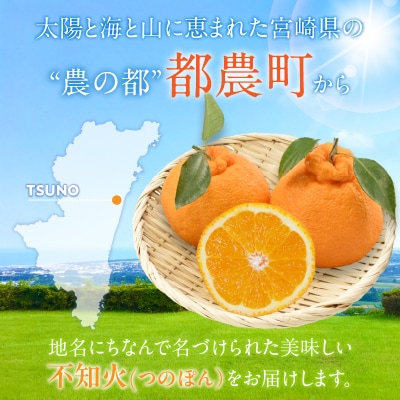 先行受付★訳あり≪数量限定≫不知火(つのぽん)約5kg フルーツ 果物 国産_T002-002