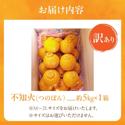 先行受付★訳あり≪数量限定≫不知火(つのぽん)約5kg フルーツ 果物 国産_T002-002
