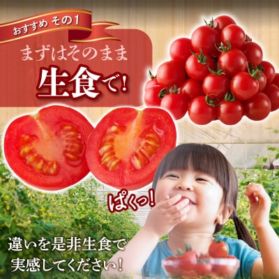 生産者応援【期間・数量限定特別規格】高糖度ミニトマト『ニーゴ25。』計2kgT040-0021-ZO