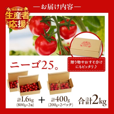 生産者応援【期間・数量限定特別規格】高糖度ミニトマト『ニーゴ25。』計2kgT040-0021-ZO