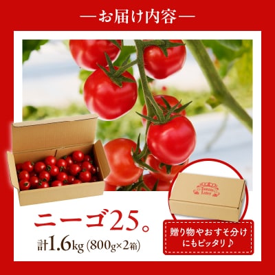 ≪期間限定≫高糖度ミニトマト『ニーゴ25。』(計1.6kg) ミニトマト_T040-0021