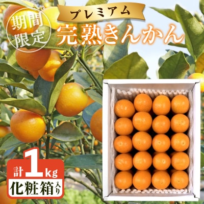 ≪数量限定≫完熟きんかんプレミアム(計1kg) 化粧箱入り フルーツ_T042-0011