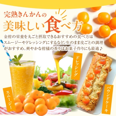 先行受付≪数量限定≫完熟きんかんプレミアム(計1kg) 化粧箱入り フルーツ_T042-0011