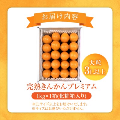 先行受付≪数量限定≫完熟きんかんプレミアム(計1kg) 化粧箱入り フルーツ_T042-0011