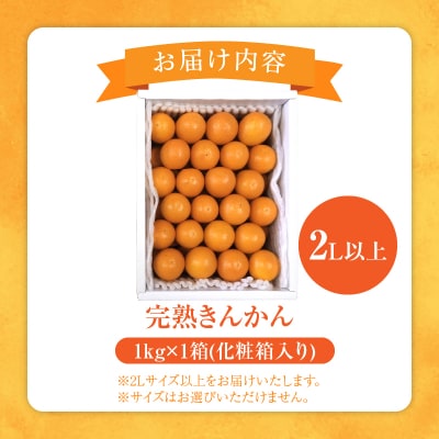 ≪数量限定≫完熟きんかん(計1kg)_T042-0021