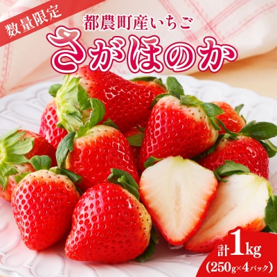先行受付≪数量限定≫都農町産いちご「さがほのか」計1kg_T015-0011