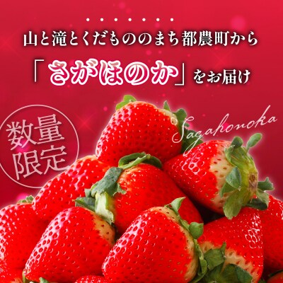 ≪数量限定≫都農町産いちご「さがほのか」計1kg_T015-0011