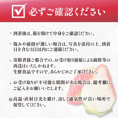 先行受付≪数量限定≫都農町産いちご「さがほのか」計1kg_T015-0011