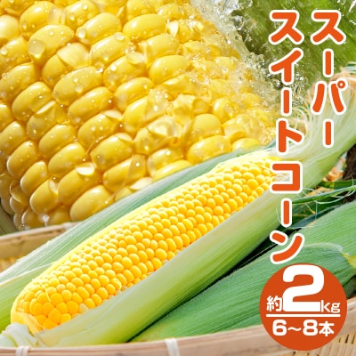 ≪期間限定≫スーパースイートコーン(約2kg)お試し用 野菜 国産_T003-003