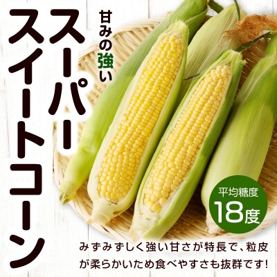 ≪期間限定≫スーパースイートコーン(約2kg)お試し用 野菜 国産_T003-003