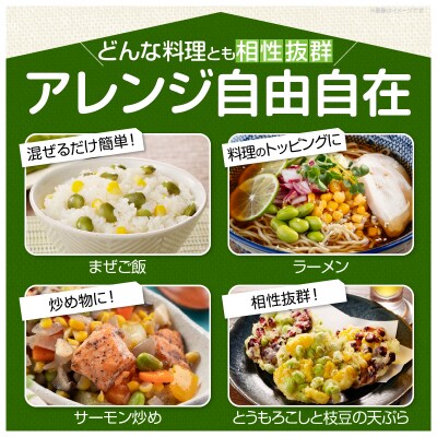 ≪期間限定≫スーパースイートコーン(約2kg)お試し用 野菜 国産_T003-003