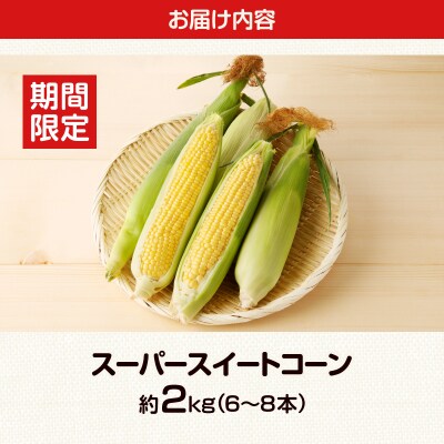 ≪期間限定≫スーパースイートコーン(約2kg)お試し用 野菜 国産_T003-003