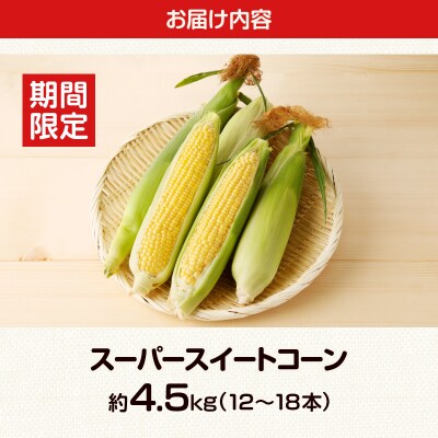 先行受付≪期間限定≫スーパースイートコーン(約4.5kg) とうもろこし 国産_T003-004