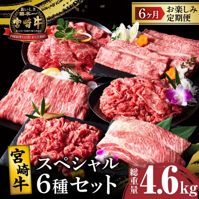 6か月定期便『宮崎牛スペシャル6種セット』4.6kg_T009-0021