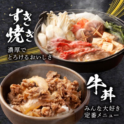 6か月定期便『宮崎牛スペシャル6種セット』4.6kg_T009-0021