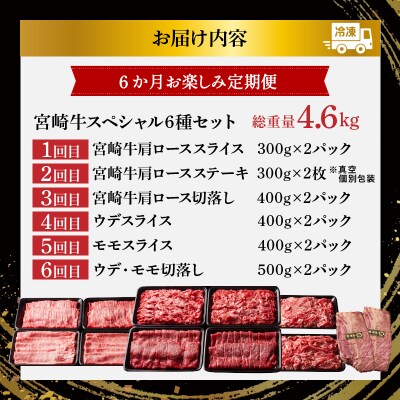 6か月定期便『宮崎牛スペシャル6種セット』4.6kg_T009-0022