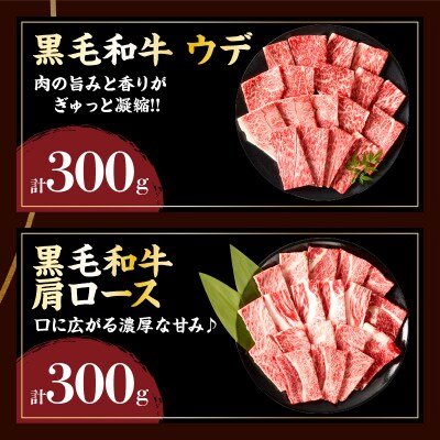 宮崎県産黒毛和牛・豚焼肉&粗挽きウインナーセット(合計1.08kg)_T030-1733
