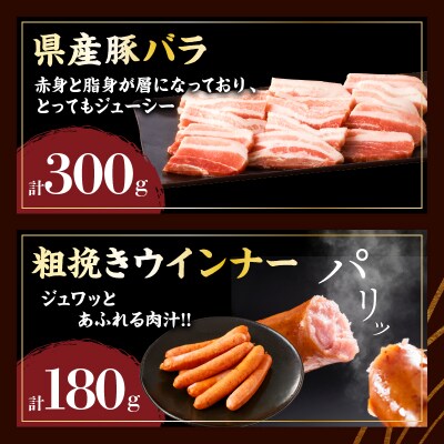 宮崎県産黒毛和牛・豚焼肉&粗挽きウインナーセット(合計1.08kg)_T030-173