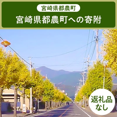 ≪返礼品なし≫宮崎県都農町への寄附【6,000円】T000-001-06