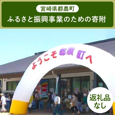 ≪返礼品なし≫宮崎県都農町のふるさと振興事業【6,000円】T000-007-06