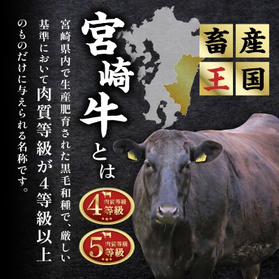 3か月定期便『宮崎牛肩ロース味わい3種セット』2kg_T009-0011