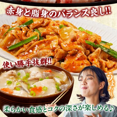 宮崎県産豚バラスライス計1.8kg_T009-0091